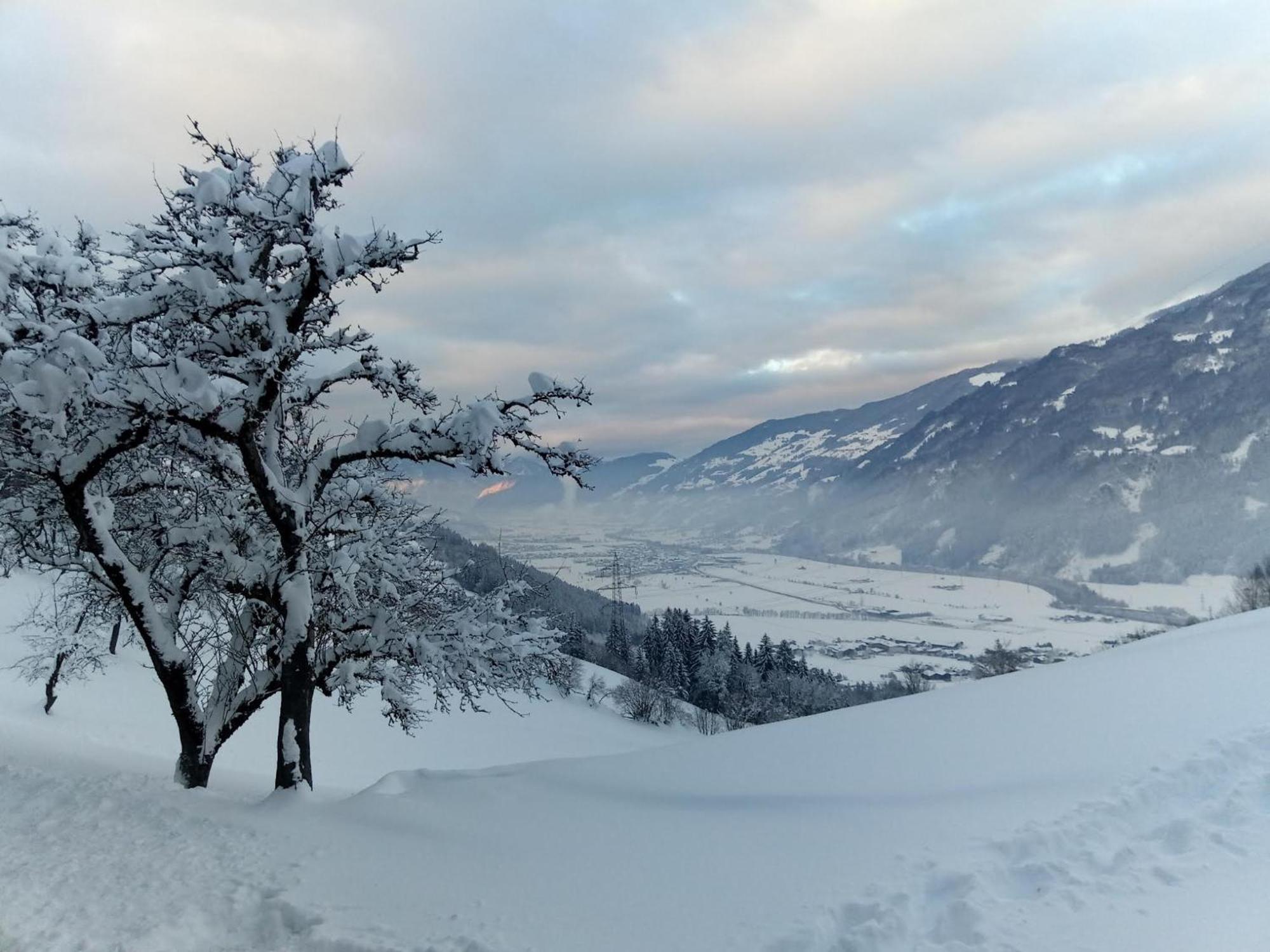 Wieshof Kaltenbach Bagian luar foto