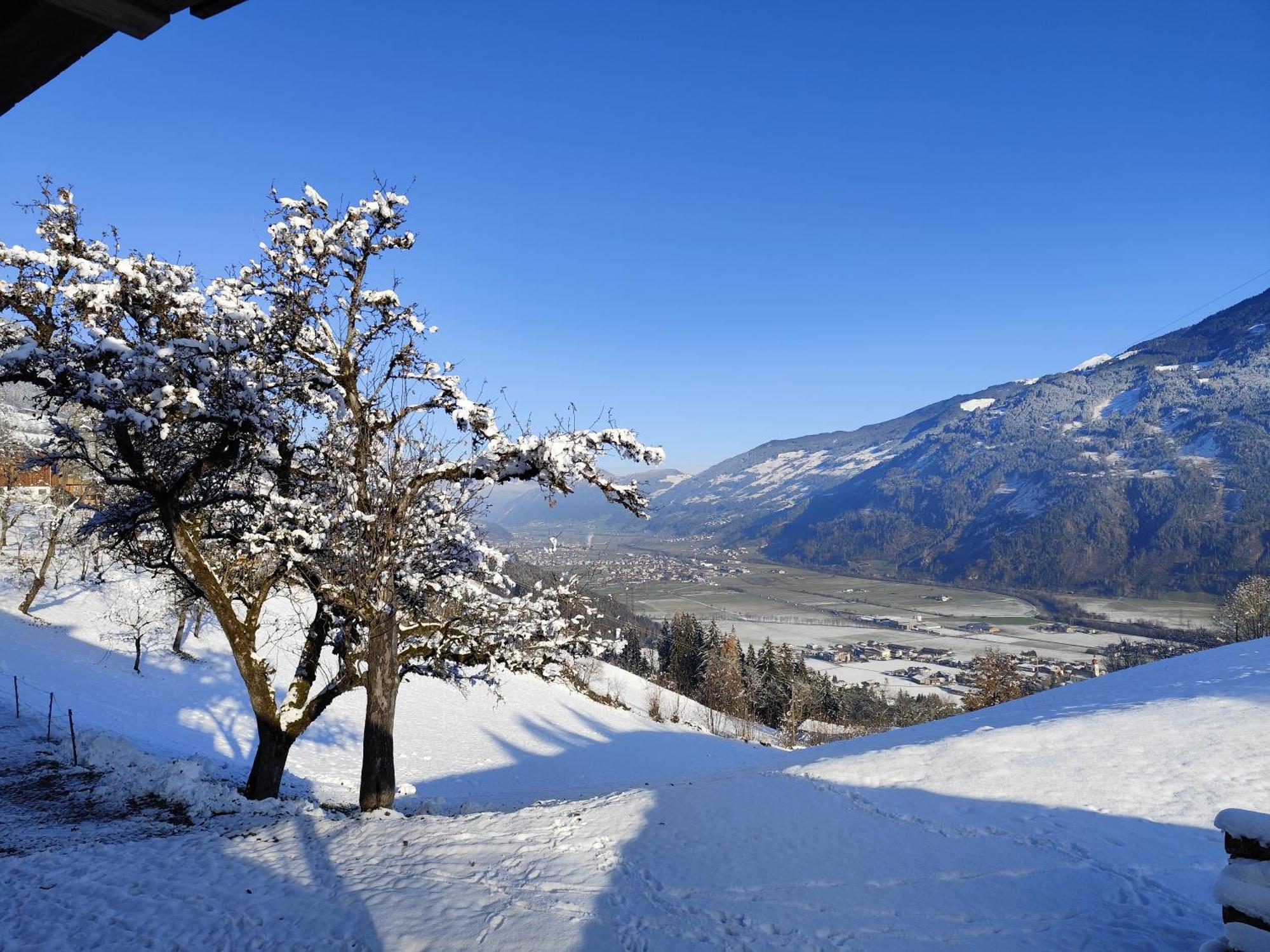 Wieshof Kaltenbach Bagian luar foto