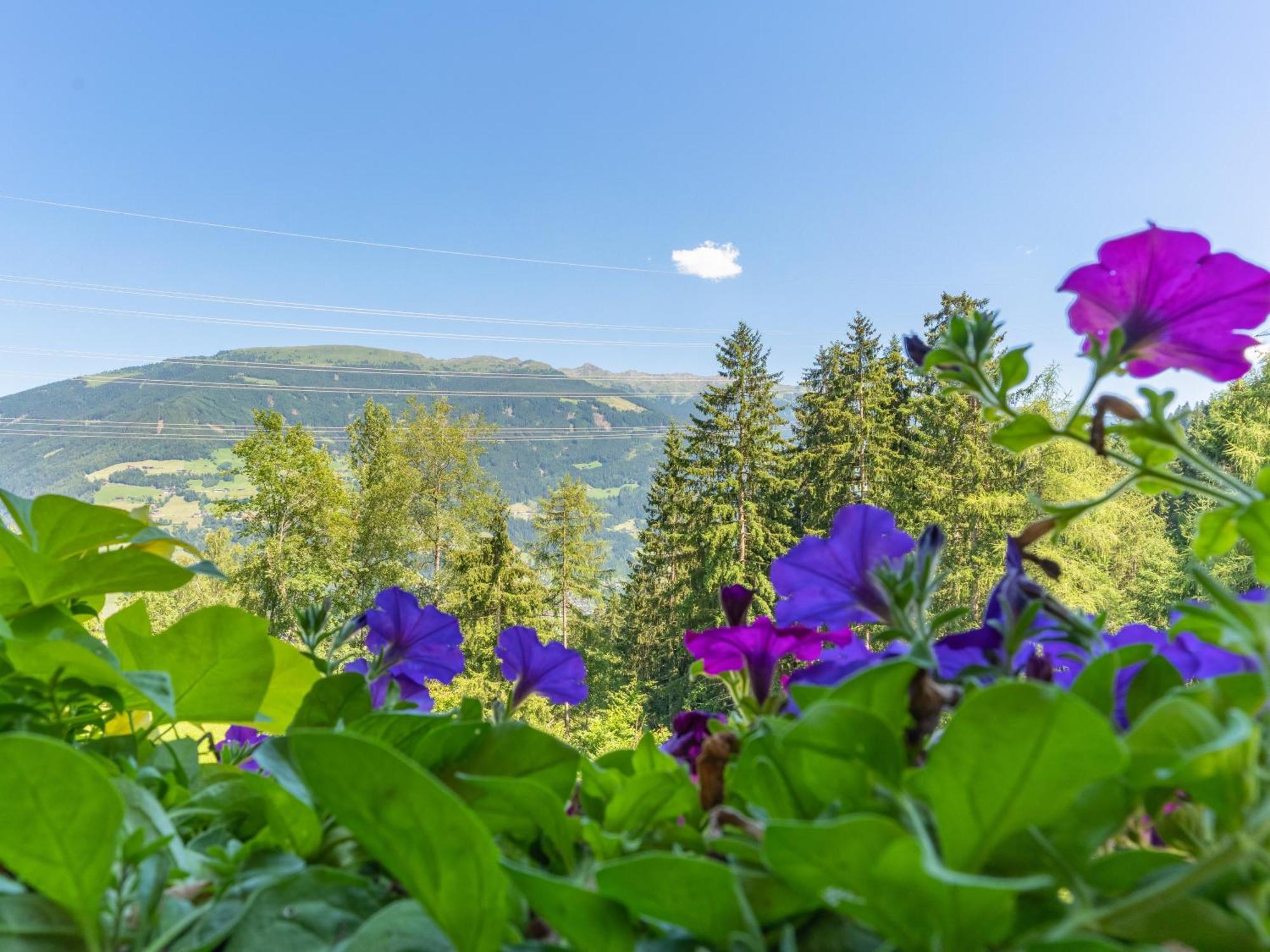 Wieshof Kaltenbach Ruang foto